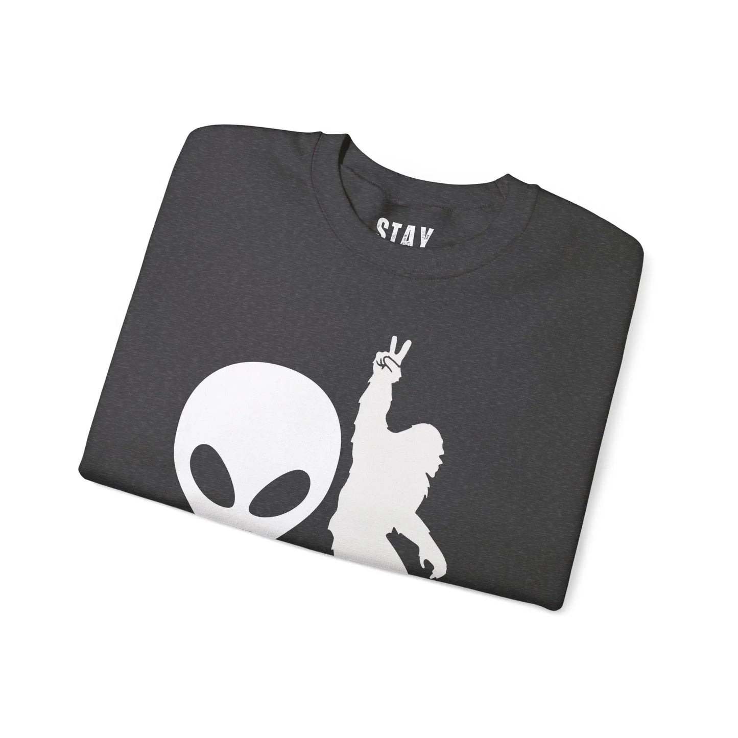 Alien and Bigfoot Sweatshirt “we don’t believe in you either” Printify