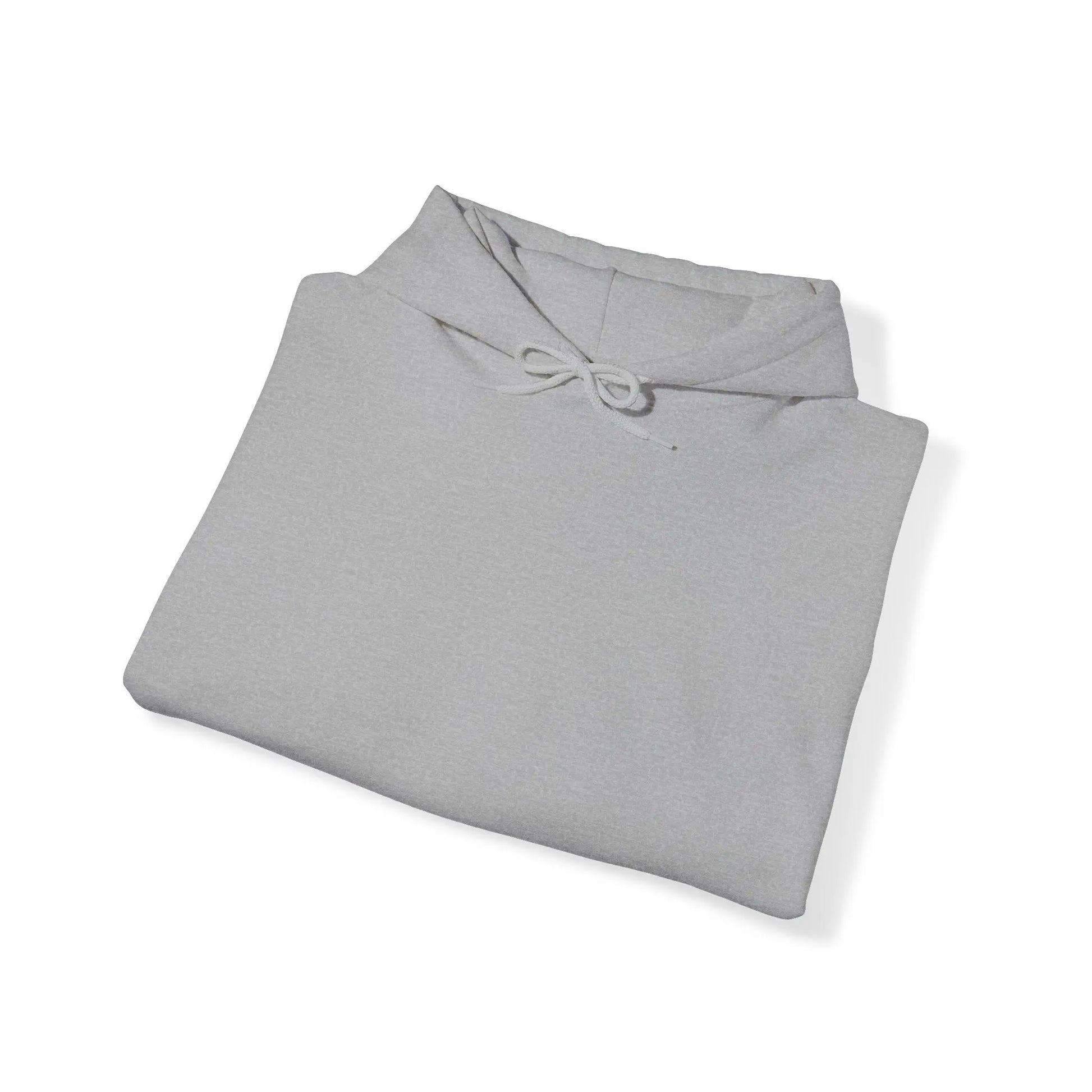 To The Person Behind Me: "Stay Tomorrow Needs You" Hooded Sweatshirt Mental Health Awareness Suicide Prevention Mothers Day Fathers Day Gift Veterans Support Military Gift