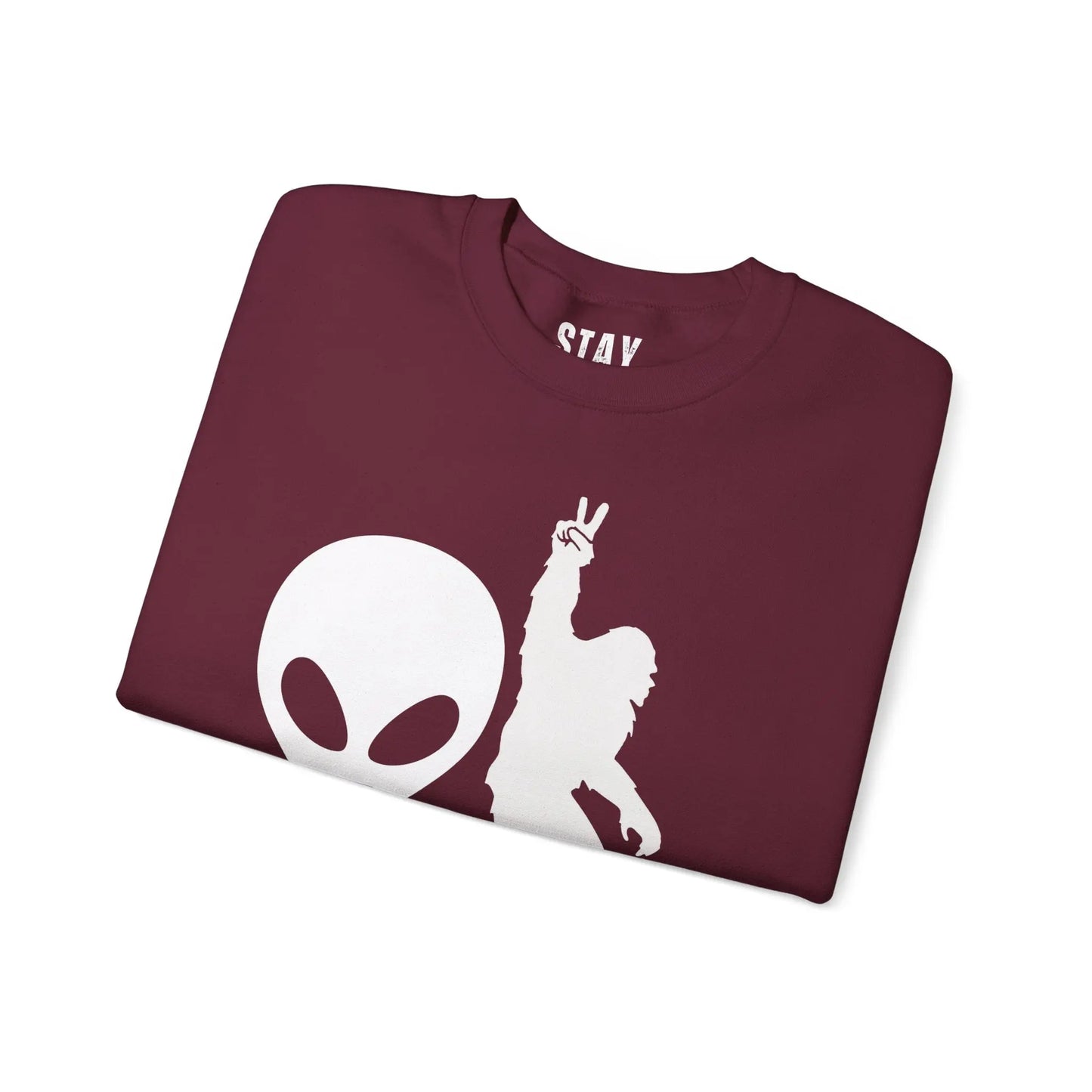 Alien and Bigfoot Sweatshirt “we don’t believe in you either” Printify